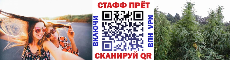 Магазины продажи наркотиков Бийск ГАШИШ A PVP Мефедрон гидра как войти COCAIN