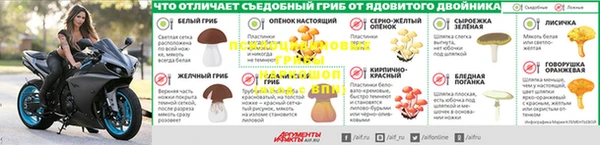 а пвп мука Белокуриха
